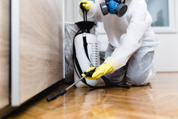 Best Residential Pest Control  in Ruch, OR