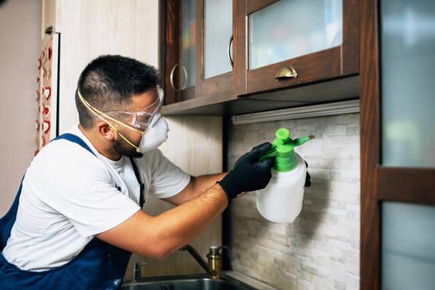 Best Emergency Pest Control  in Ruch, OR