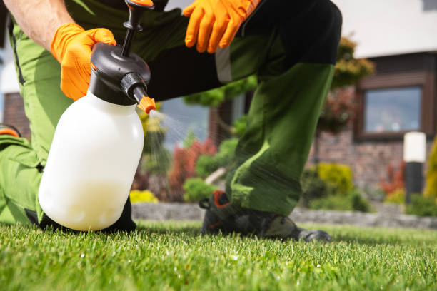 Best Flea Control Services  in Ruch, OR