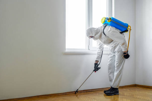 Best Exterminator Services  in Ruch, OR