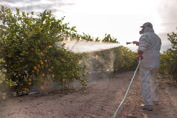 Best Commercial Pest Control Services  in Ruch, OR