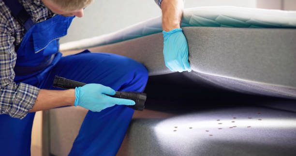 Best Pest Control Treatment  in Ruch, OR