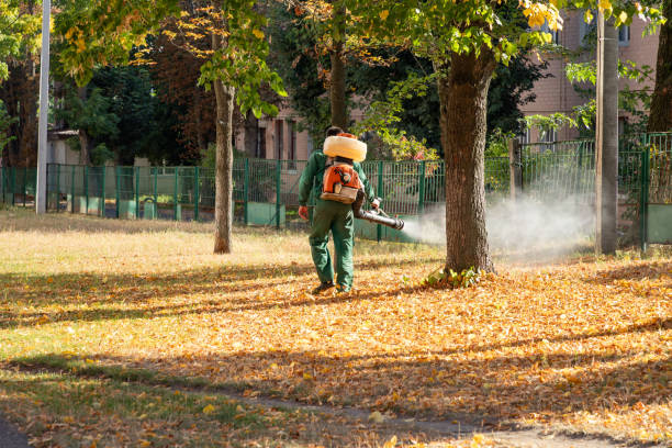 Best Pest Control for Restaurants  in Ruch, OR