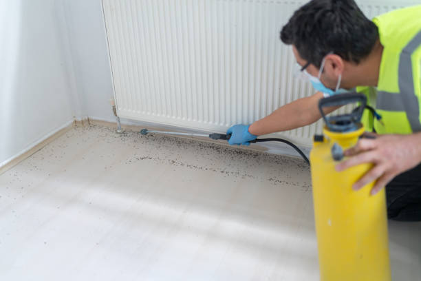Reliable Ruch, OR Pest Control Solutions
